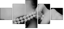 59364579