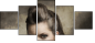 59478658