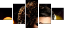 59618104