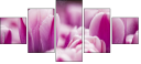 59655482