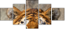 59798134