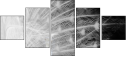 59854721