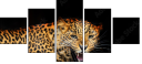 59934153