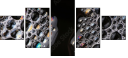 60098893