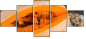 60187739