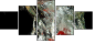60316396