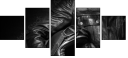 60318085