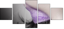 60390029