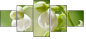 60390048