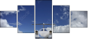 60525051