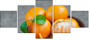 60530401