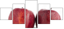 60597899