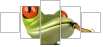 61064251