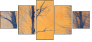 61864050