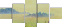 61864058