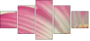 62303581