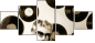 62539276