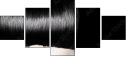 62623049