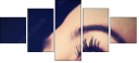 62674579