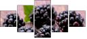 62957499
