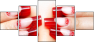 63012862