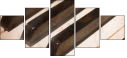 63329825