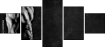 63490164