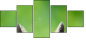 63805438