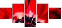 64202605