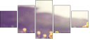 64321096