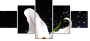64347544