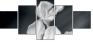 64479255