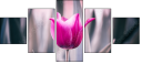 64764668