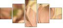 65771321