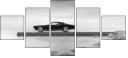 66242450