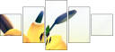 66709421