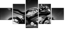 66895628