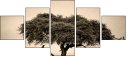 67091095