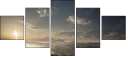 67141324