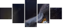 67261784