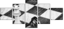 67855650