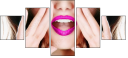 67951529