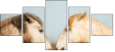 68105257