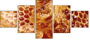 68182564