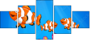68671885