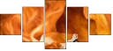 68781470