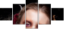 68860833