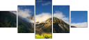 68937956