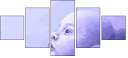 68948444