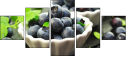 69394583